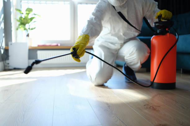 Affordable Biohazard solutions in London, AR